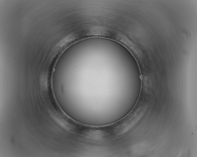 X0000114080203200910191549