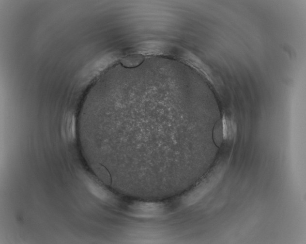 X0000114080205200910191549