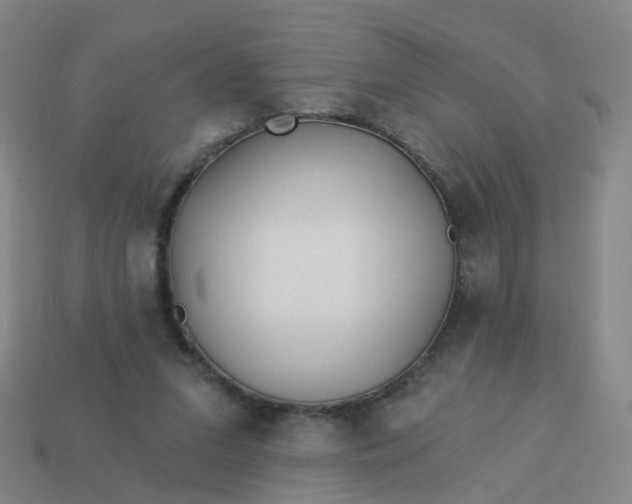 X0000114080207200910191549