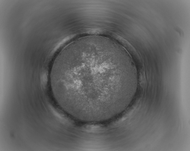 X0000114080208200910191549