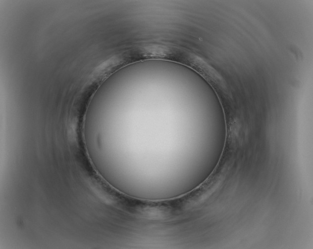 X0000114080209200910191549