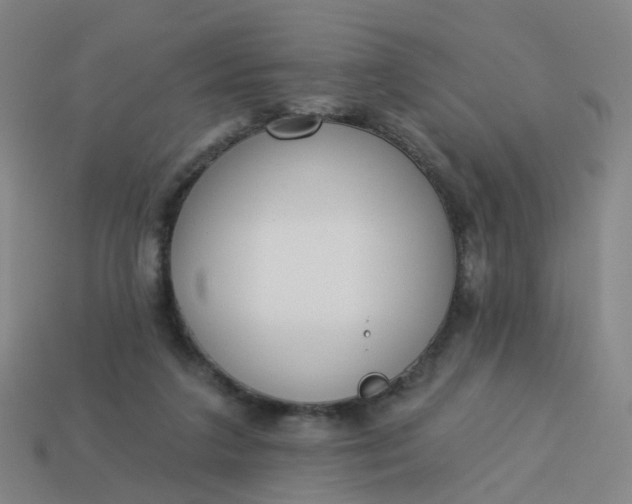 X0000114080211200910191549