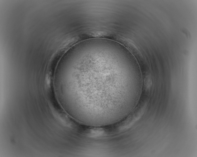 X0000114080214200910191549