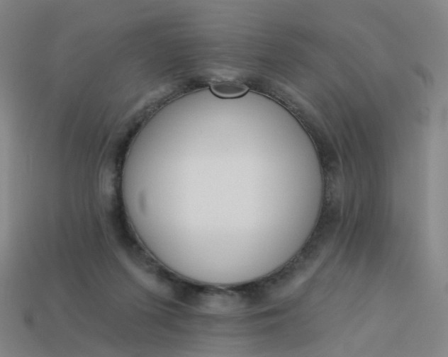 X0000114080215200910191549