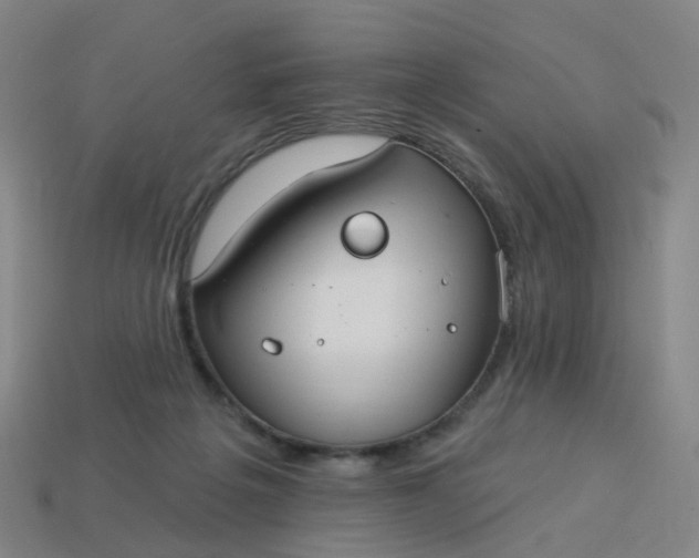 X0000114080217200910191549