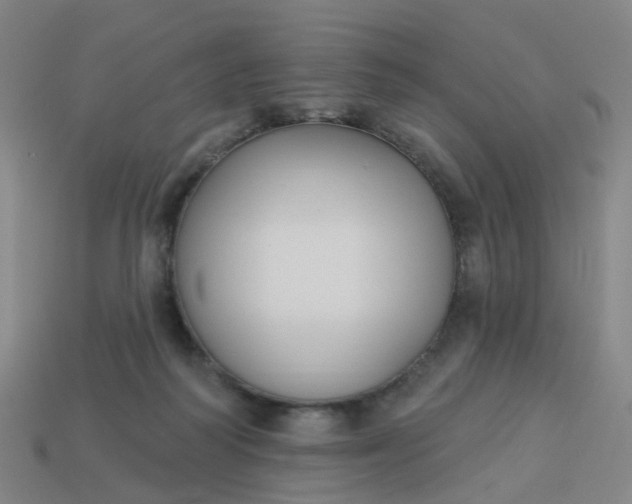 X0000114080218200910191549