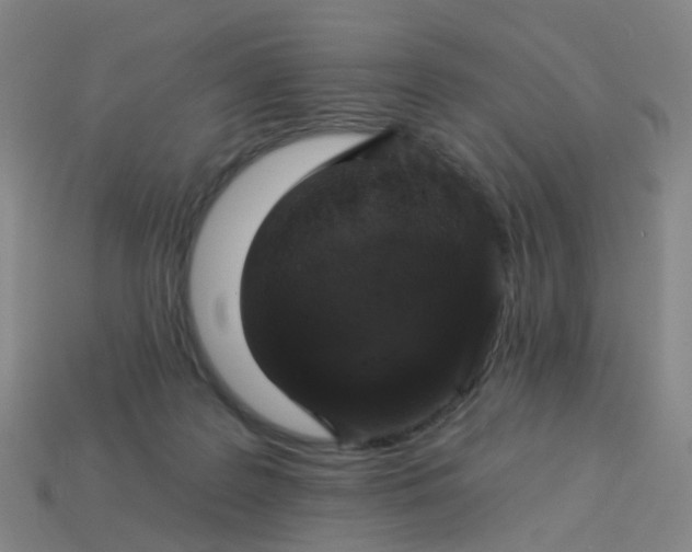 X0000114080219200910191549