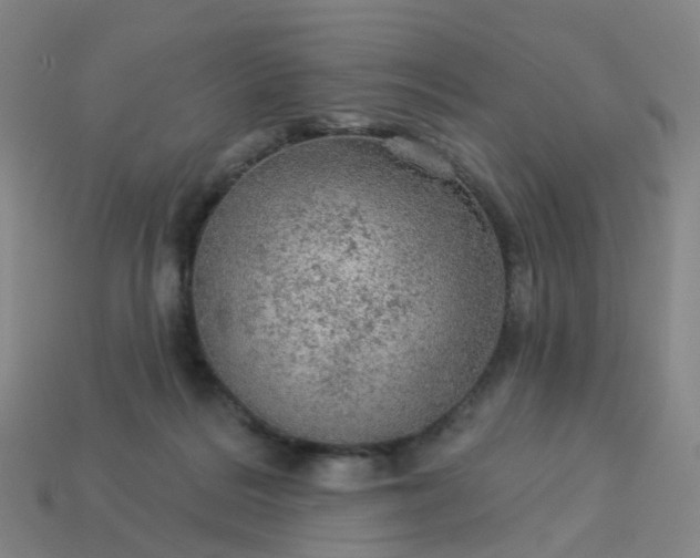 X0000114080220200910191549