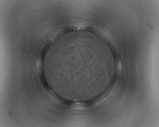 X0000114080222200910191549