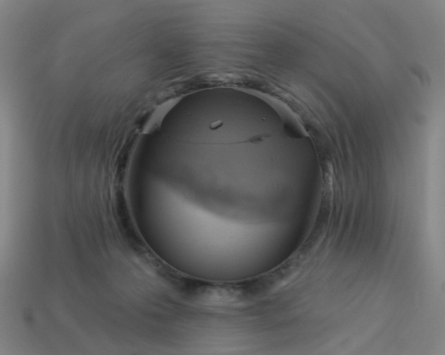 X0000114080223200910191549