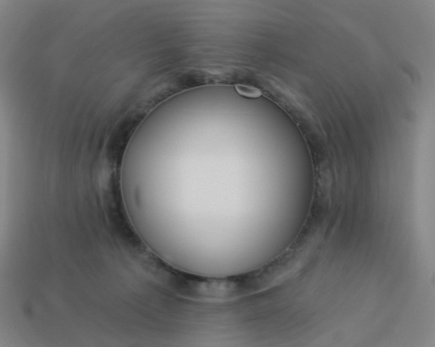 X0000114080225200910191549