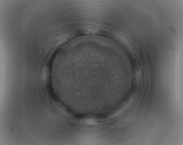 X0000114080228200910191549