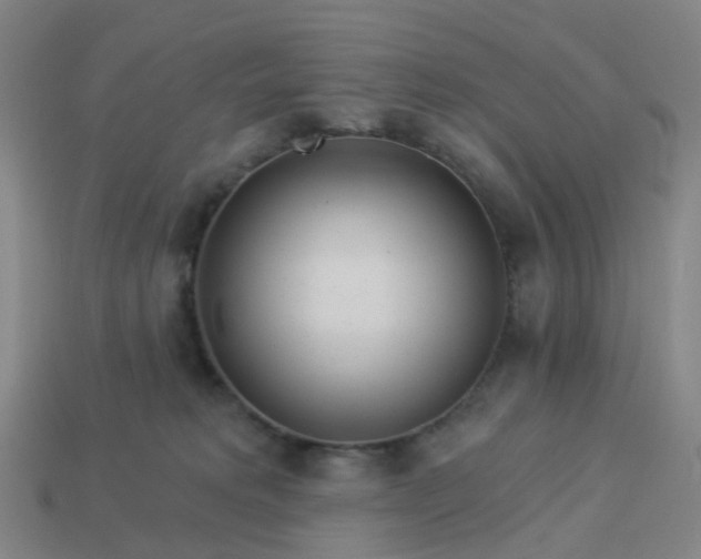 X0000114080229200910191549