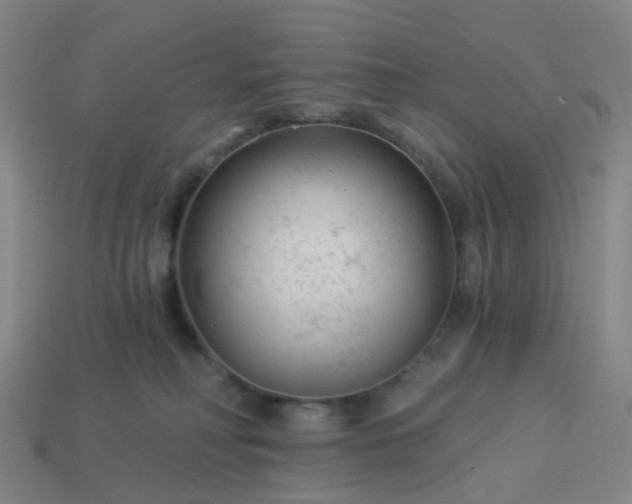 X0000114080230200910191549