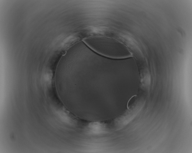 X0000114080231200910191549