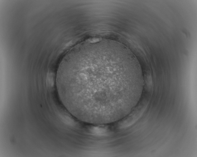 X0000114080232200910191549