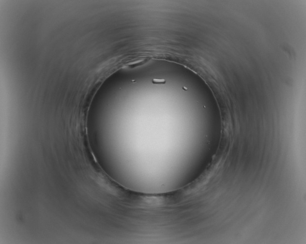 X0000114080233200910191549