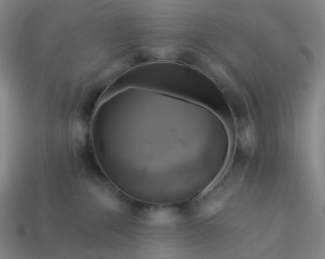 X0000114080235200910191549