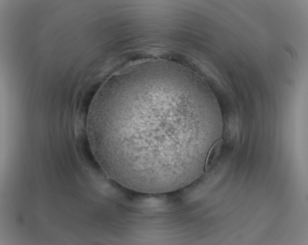 X0000114080236200910191549