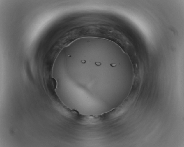 X0000114080239200910191549