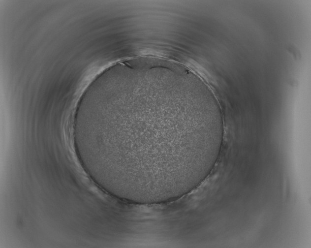 X0000114080241200910191548