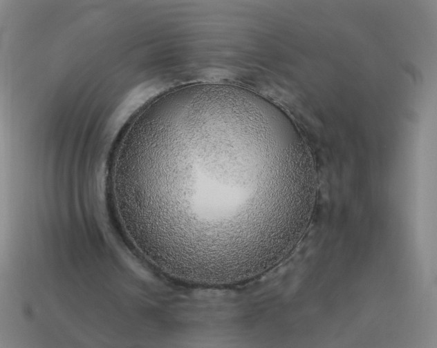 X0000114080242200910191548