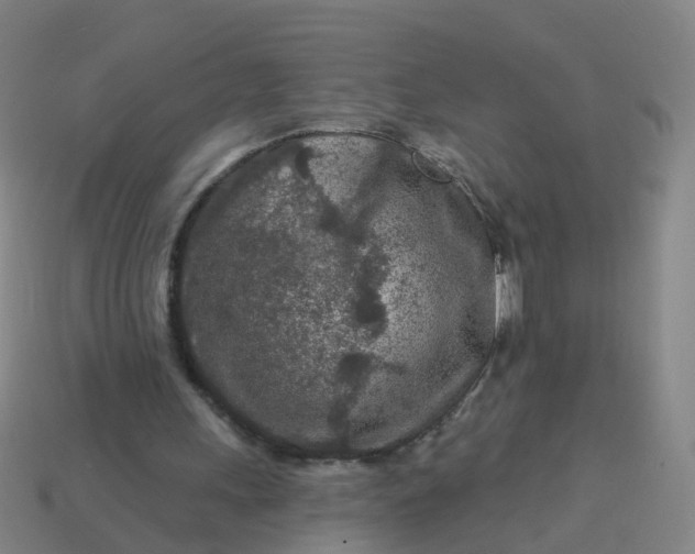 X0000114080243200910191548