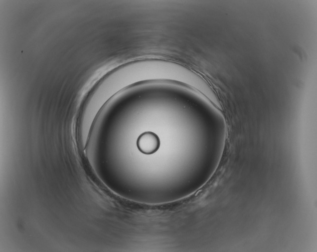 X0000114080244200910191548