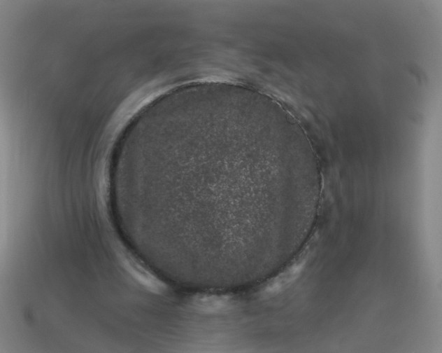 X0000114080247200910191548