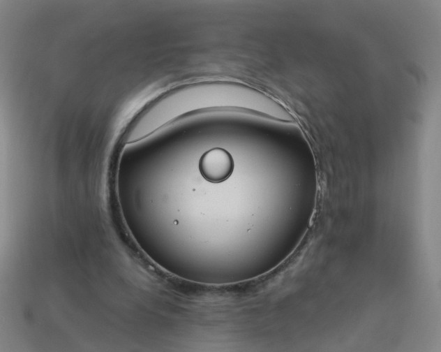 X0000114080248200910191548