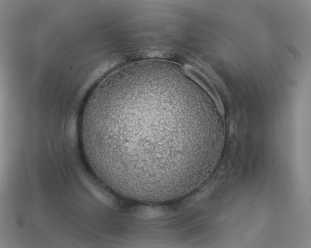 X0000114080250200910191548