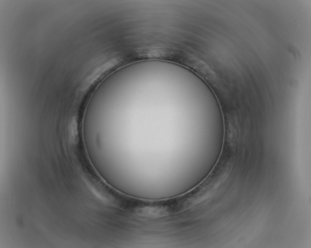 X0000114080251200910191548