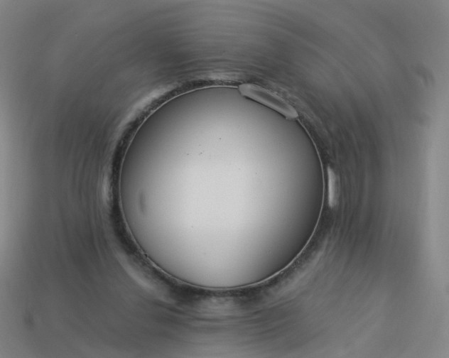 X0000114080252200910191548