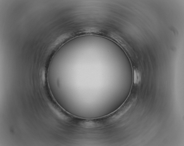 X0000114080253200910191548