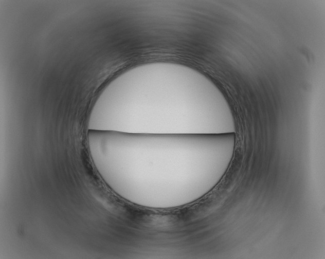 X0000114080255200910191548