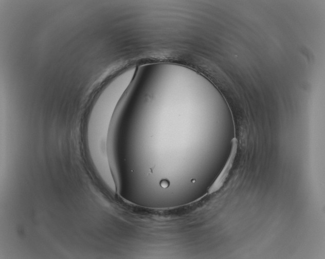 X0000114080256200910191548