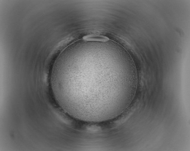 X0000114080258200910191548