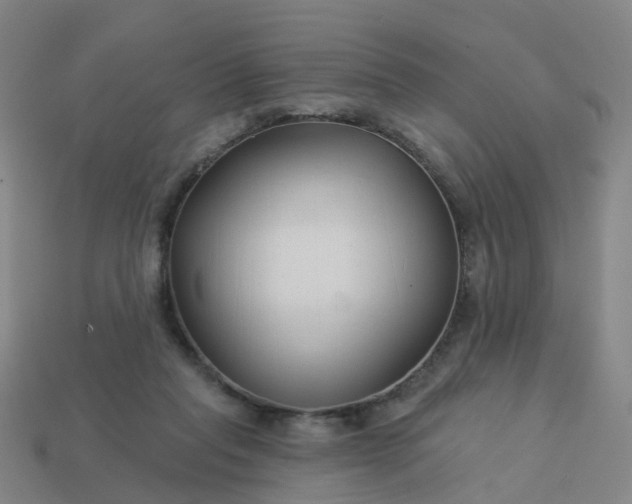 X0000114080261200910191548