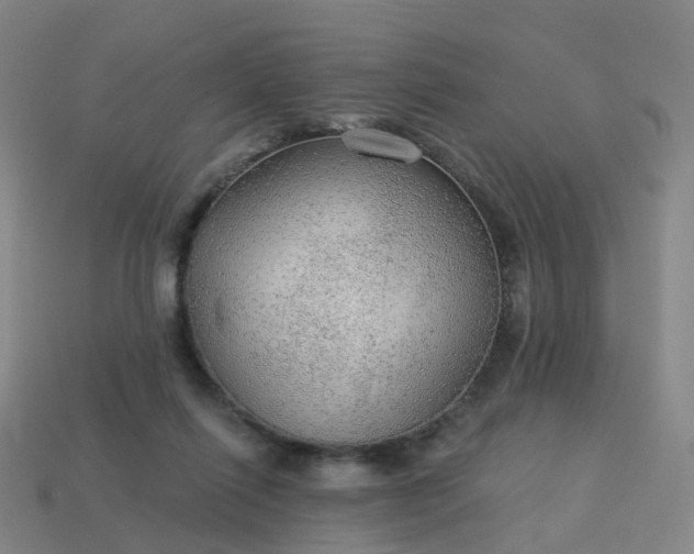 X0000114080262200910191548