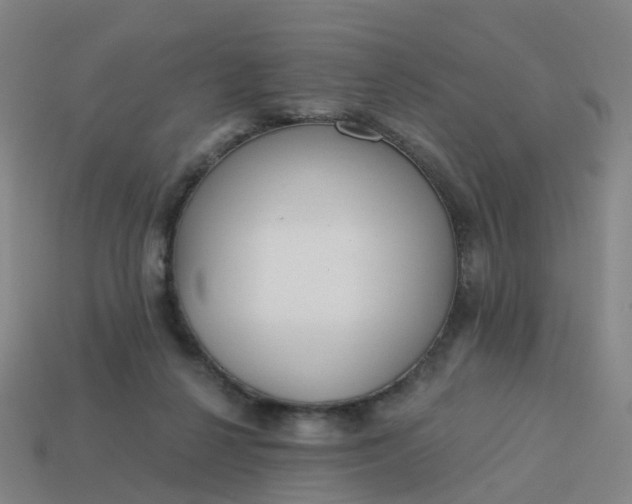 X0000114080264200910191548