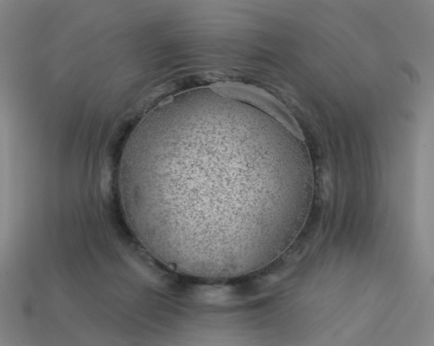 X0000114080266200910191548