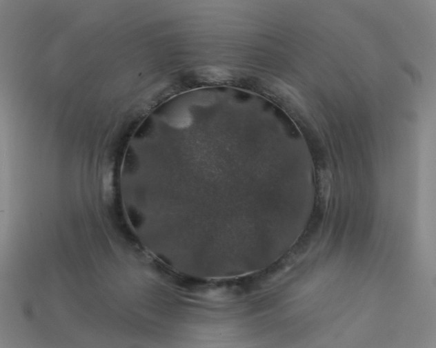 X0000114080267200910191548