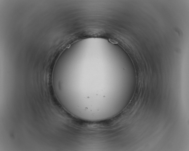 X0000114080268200910191548