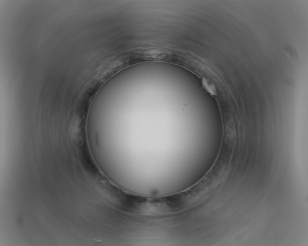 X0000114080270200910191548