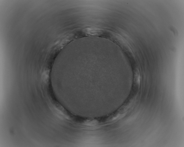 X0000114080271200910191548