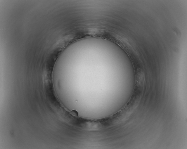 X0000114080272200910191548