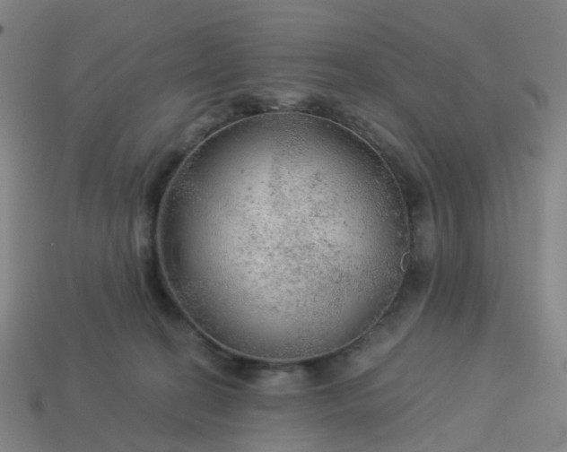 X0000114080274200910191548