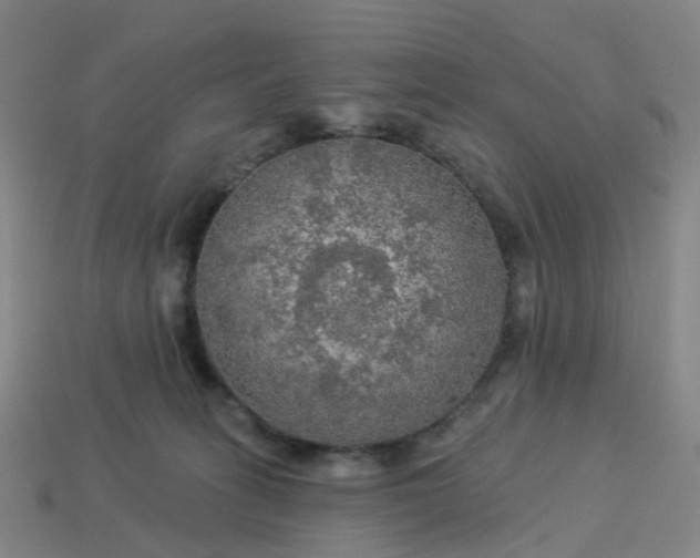 X0000114080275200910191548