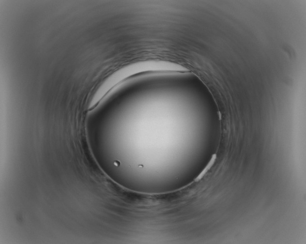 X0000114080276200910191548