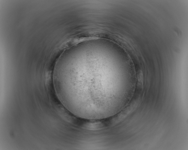 X0000114080278200910191548